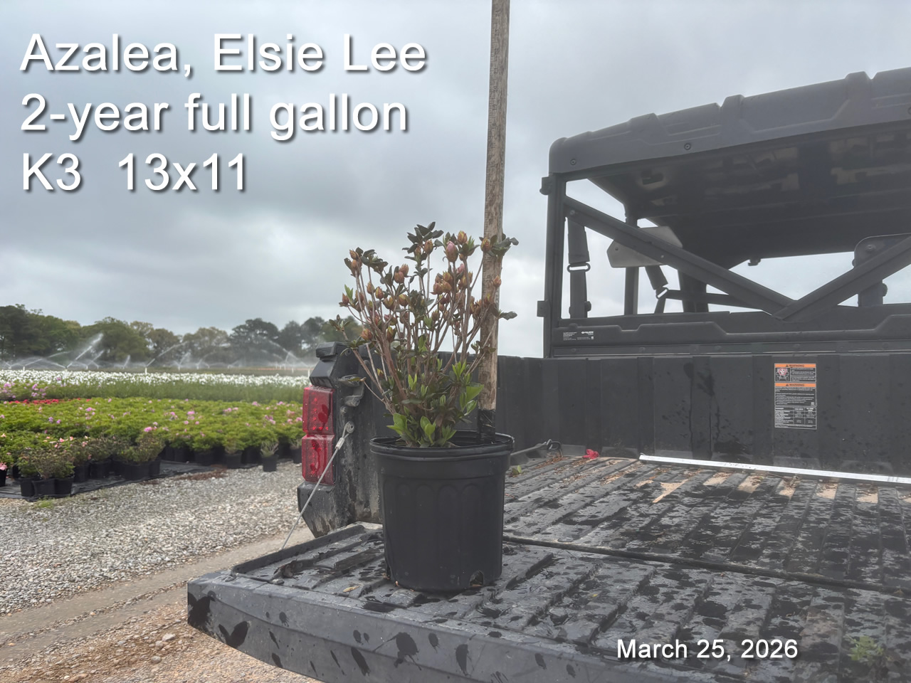 gallery/el2yf k3 mar25.jpg